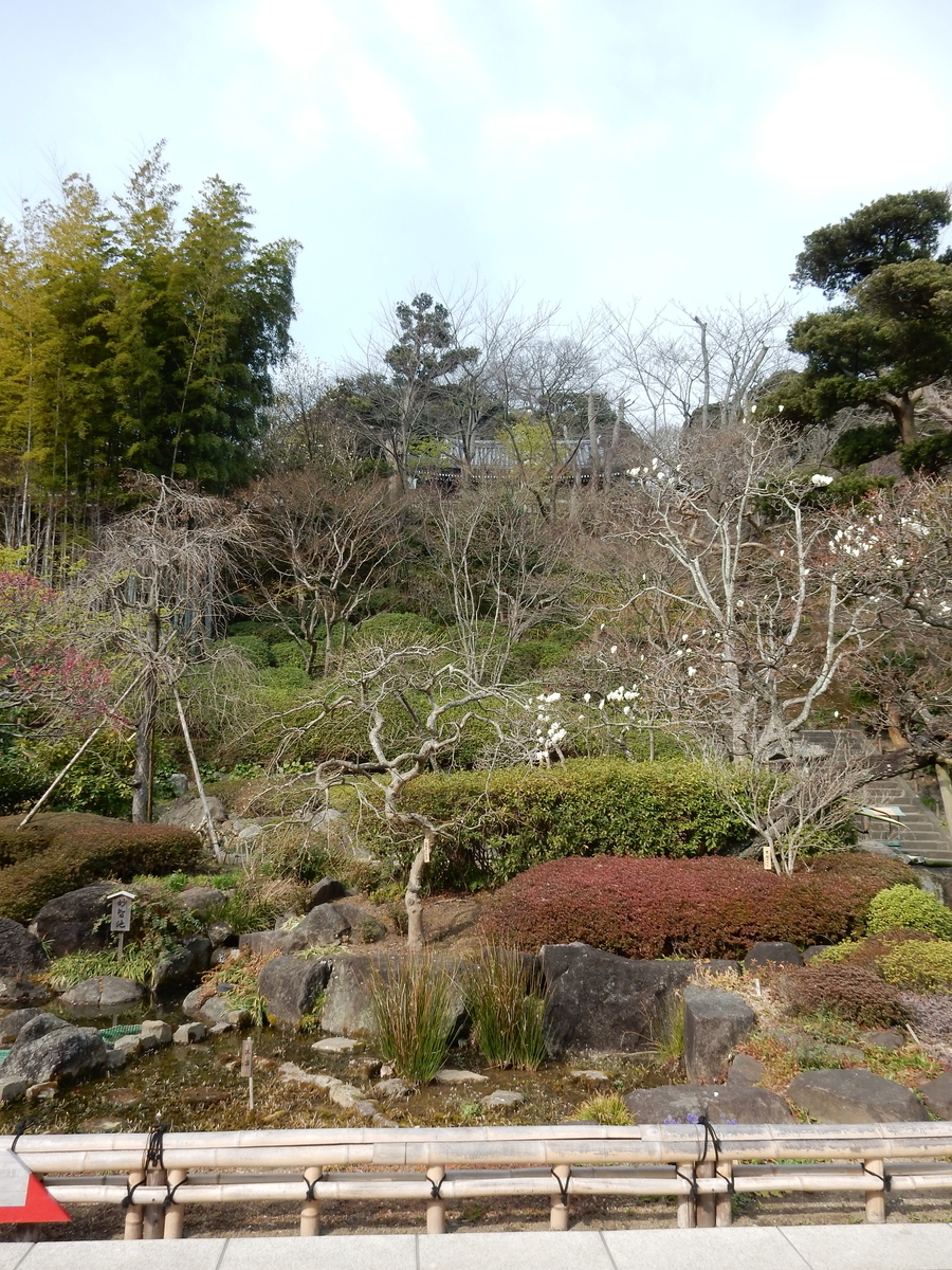 f:id:prunusmume:20211011142600j:plain