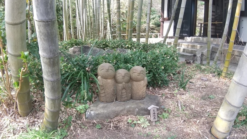 f:id:prunusmume:20211011155400j:plain