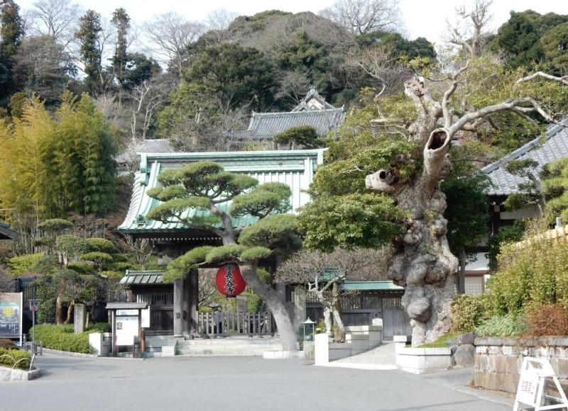 f:id:prunusmume:20211012120653j:plain