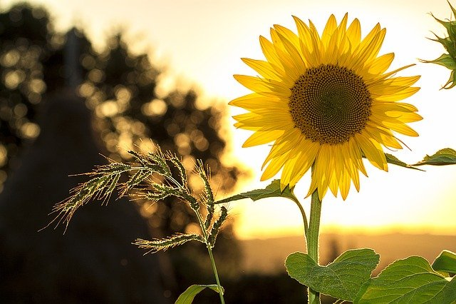 f:id:ps0460px:20211010211024p:plain