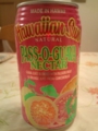 Hawaiian Sun : Pass-O-Guava Nectar #1