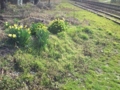 13.4.2013 のと鉄道・西岸駅 #5