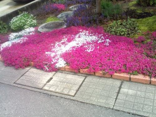 f:id:ps04b_asada:20130704190943j:image