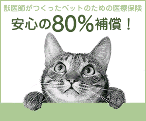 獣医師が作った、ペットの医療保険 (2017 Oct)