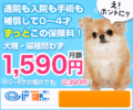 20180226033337