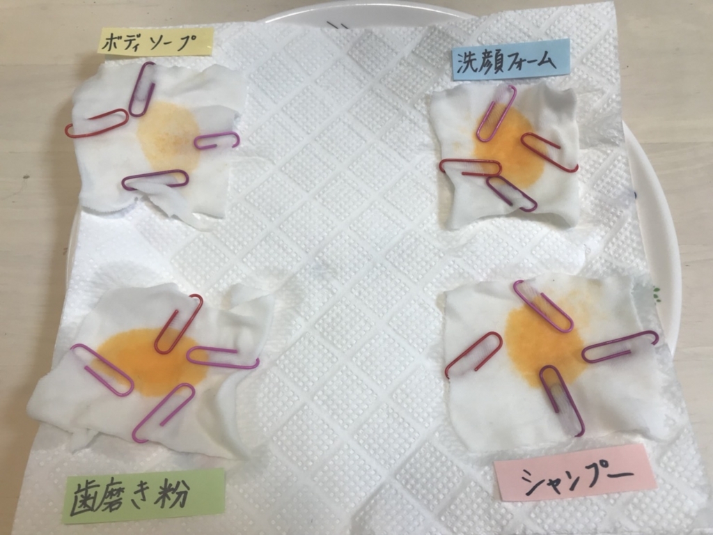 今年の自由研究は界面活性剤についての研究に決めた Ps6 S Blog