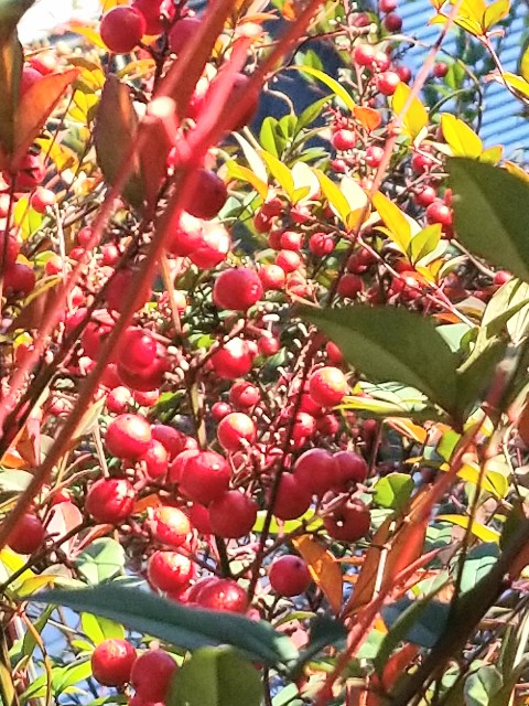 f:id:psa3103:20220104185450j:image f:id:psa3103:20220104185450j:image