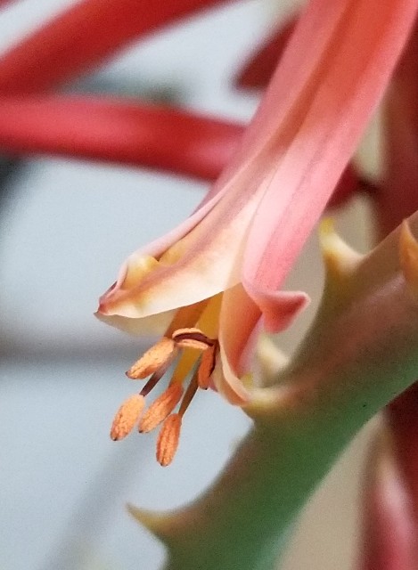 f:id:psa3103:20220212190913j:image