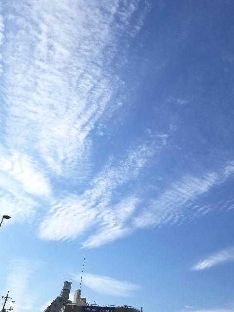 f:id:psa3103:20220228153348j:image