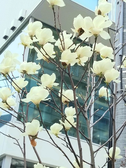 f:id:psa3103:20220315203234j:image