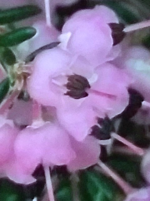 f:id:psa3103:20220316003842j:image