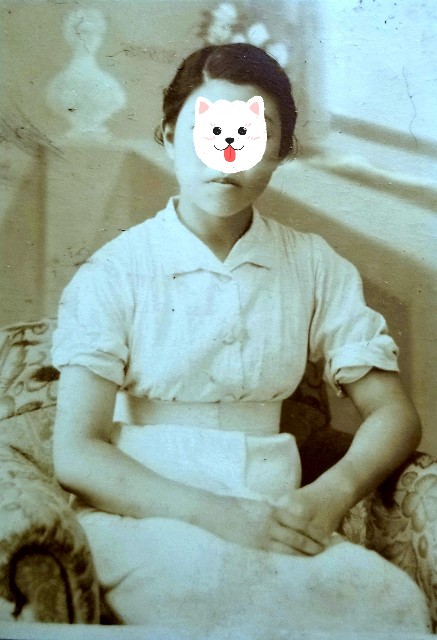 f:id:psa3103:20220701135204j:image