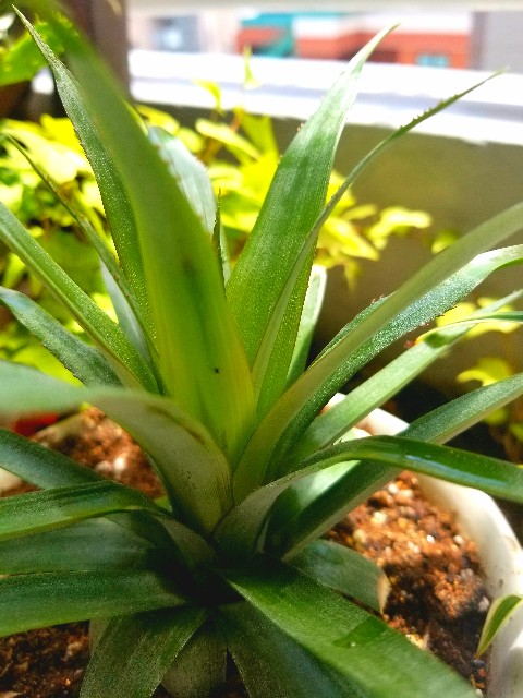 f:id:psa3103:20220811203228j:image f:id:psa3103:20220811203228j:image