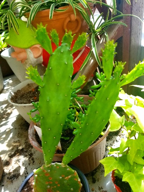 f:id:psa3103:20220811203241j:image f:id:psa3103:20220811203241j:image