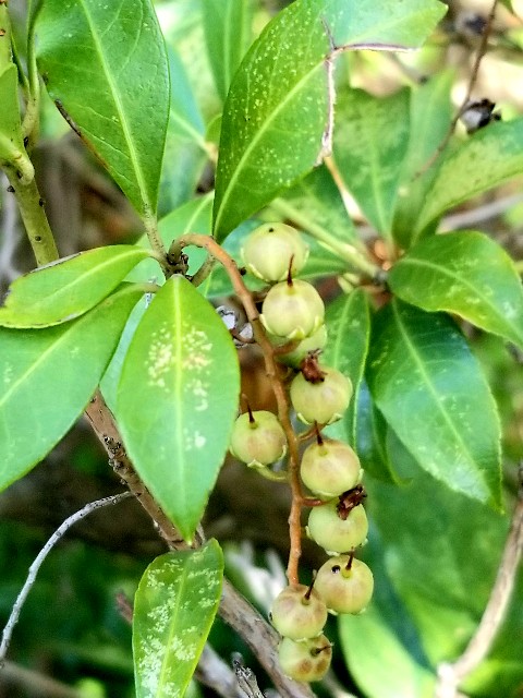 f:id:psa3103:20220811203307j:image f:id:psa3103:20220811203307j:image