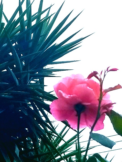 f:id:psa3103:20221017180201j:image