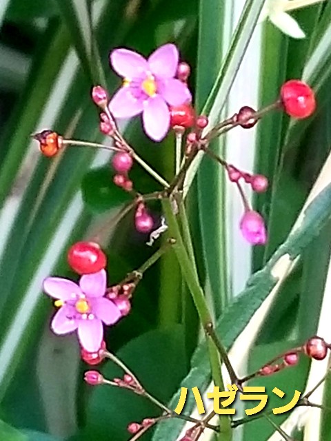 f:id:psa3103:20221024123735j:image f:id:psa3103:20221024123735j:image