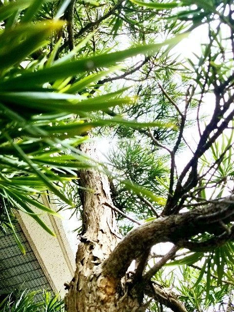 f:id:psa3103:20221126122632j:image f:id:psa3103:20221126122632j:image