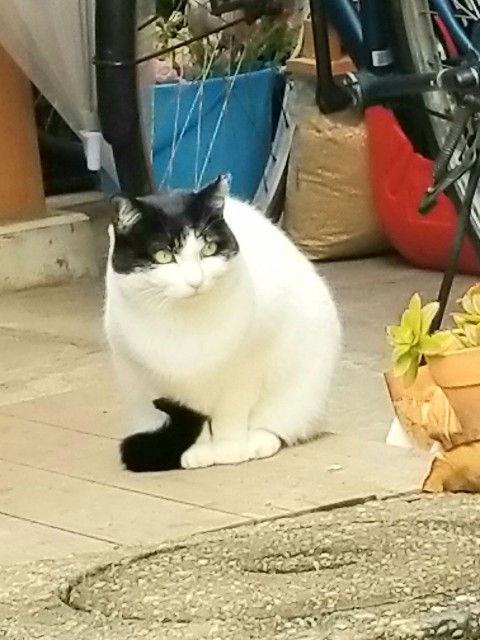 f:id:psa3103:20221126122647j:image f:id:psa3103:20221126122647j:image