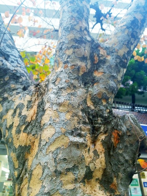 f:id:psa3103:20221206160515j:image f:id:psa3103:20221206160515j:image