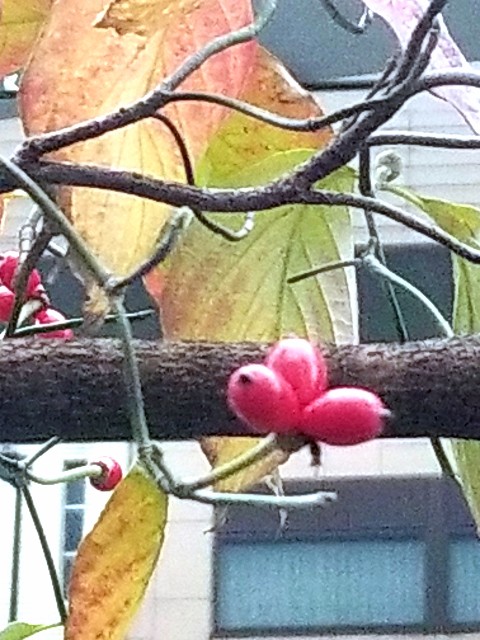 f:id:psa3103:20221206160535j:image f:id:psa3103:20221206160535j:image