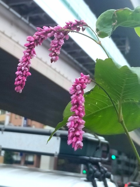 f:id:psa3103:20221206160559j:image f:id:psa3103:20221206160559j:image