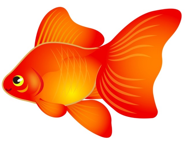 f:id:psa3103:20221210022300j:image