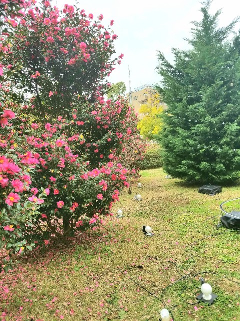 f:id:psa3103:20221221164806j:image
