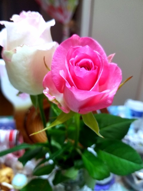 f:id:psa3103:20230114173901j:image