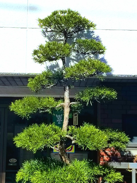 f:id:psa3103:20230128184416j:image