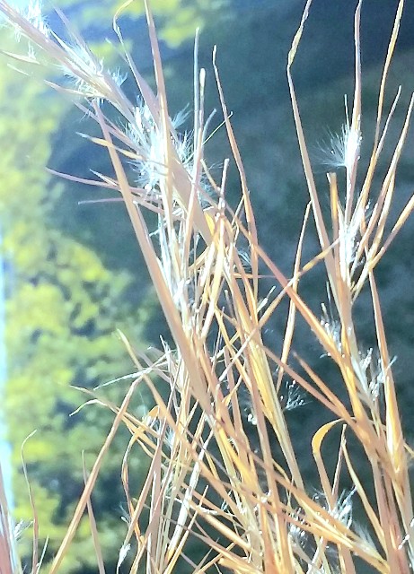 f:id:psa3103:20230206215820j:image