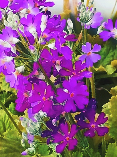 f:id:psa3103:20230306181743j:image f:id:psa3103:20230306181743j:image