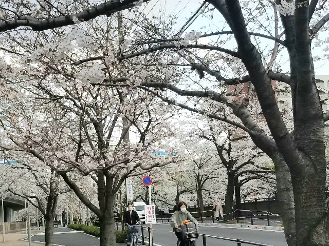 f:id:psa3103:20230322225245j:image