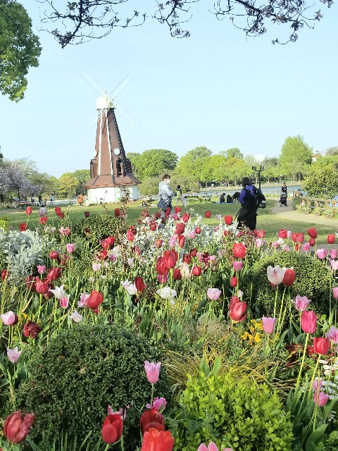 f:id:psa3103:20230411170627j:image