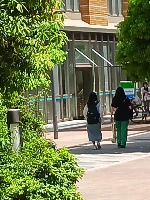 f:id:psa3103:20230517125557j:image