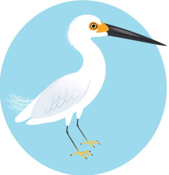 f:id:psa3103:20230611025442j:image