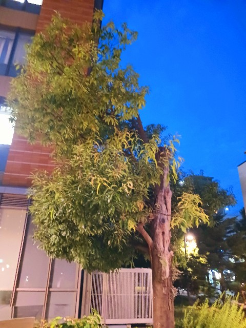 f:id:psa3103:20230718193330j:image