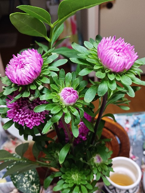 f:id:psa3103:20230719234305j:image