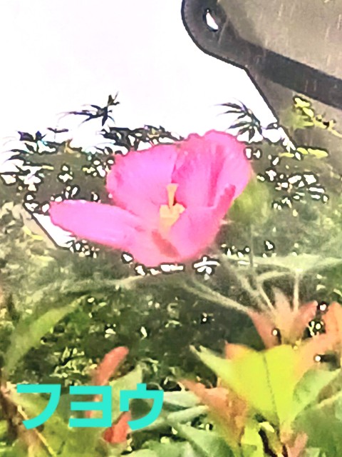 f:id:psa3103:20230813185711j:image