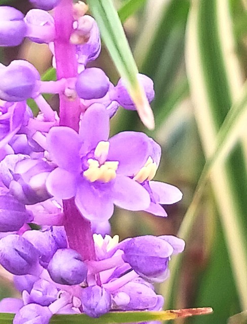 f:id:psa3103:20231005004432j:image