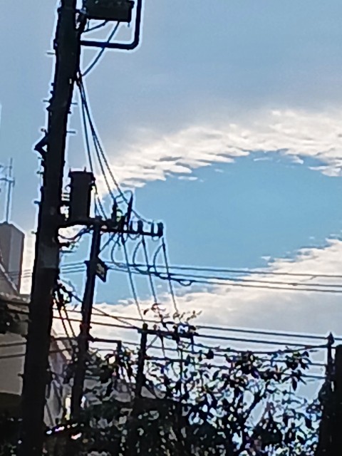 f:id:psa3103:20231005202439j:image