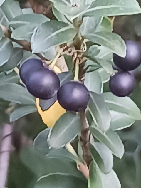 f:id:psa3103:20231019023739j:image