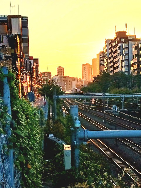 f:id:psa3103:20231019023748j:image