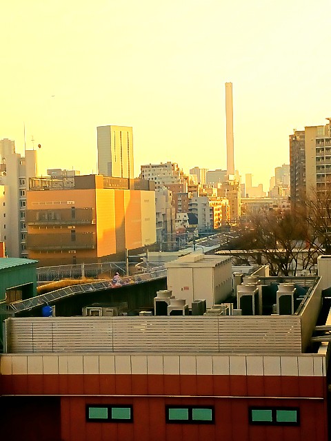 f:id:psa3103:20240315175950j:image