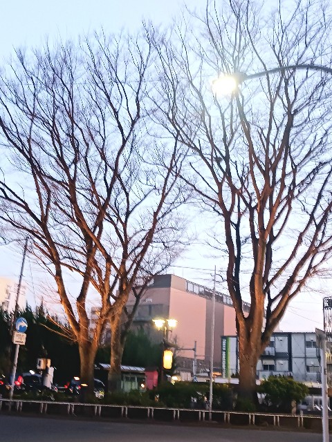 f:id:psa3103:20240316203047j:image