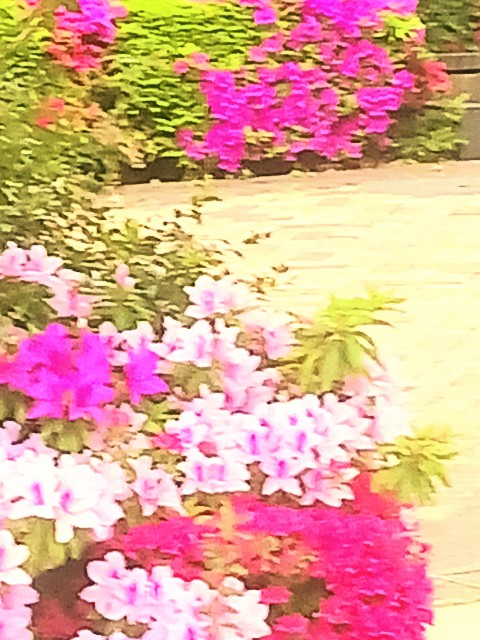 f:id:psa3103:20240423191602j:image