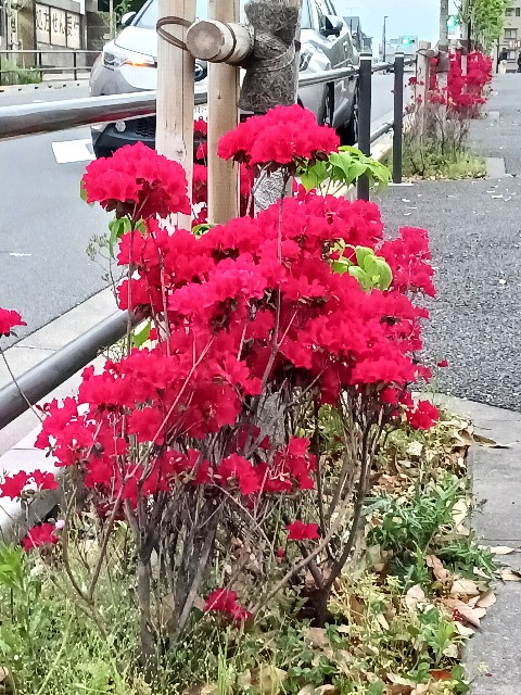 f:id:psa3103:20240423192112j:image