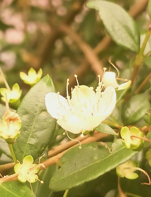 f:id:psa3103:20240617172353j:image