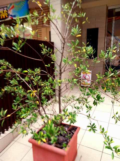 f:id:psa3103:20240716032137j:image