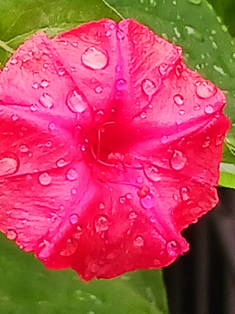 f:id:psa3103:20240716202244j:image